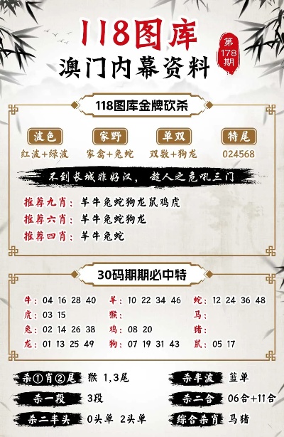 新澳门王中王100%期期中，全面释义、解释与落实新澳门王中王100%期期中;-全面释义解释落实
