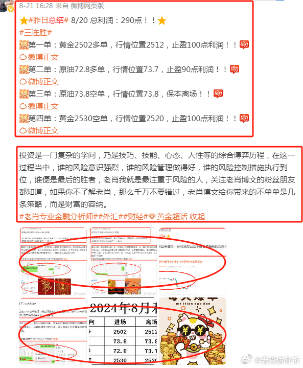 一肖今晚，深度解析与落实策略精选一肖 今晚;-精选解析解释落实
